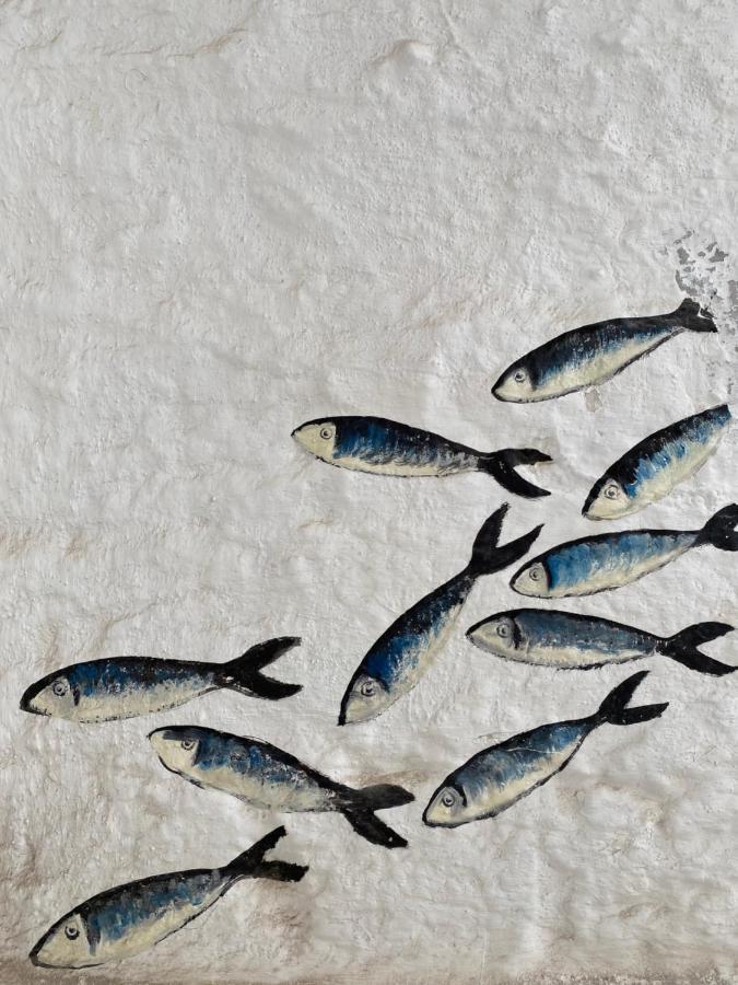 Dimora Apuliae• Dimora Di Puglia Villa โปลีญาโนอามาเร ภายนอก รูปภาพ